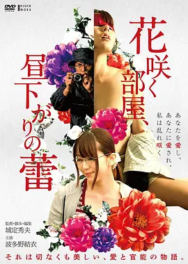 雾港谜案高清电影手机免费在线观看